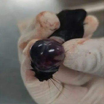 1760345230900925.jpg 11.jpg